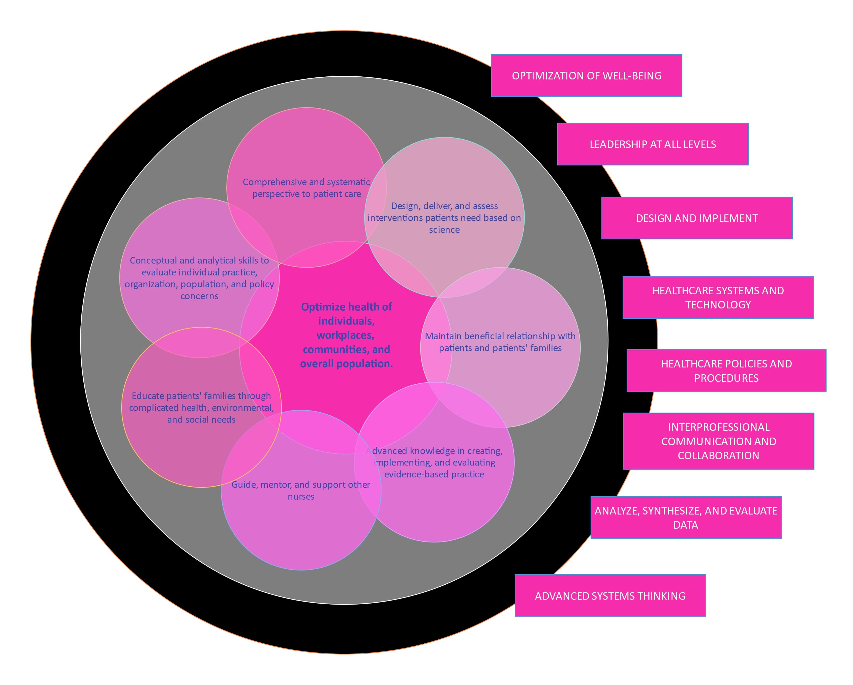 DNP conceptual framework template