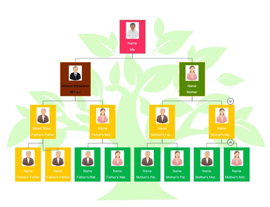 colorful four generation family tree template