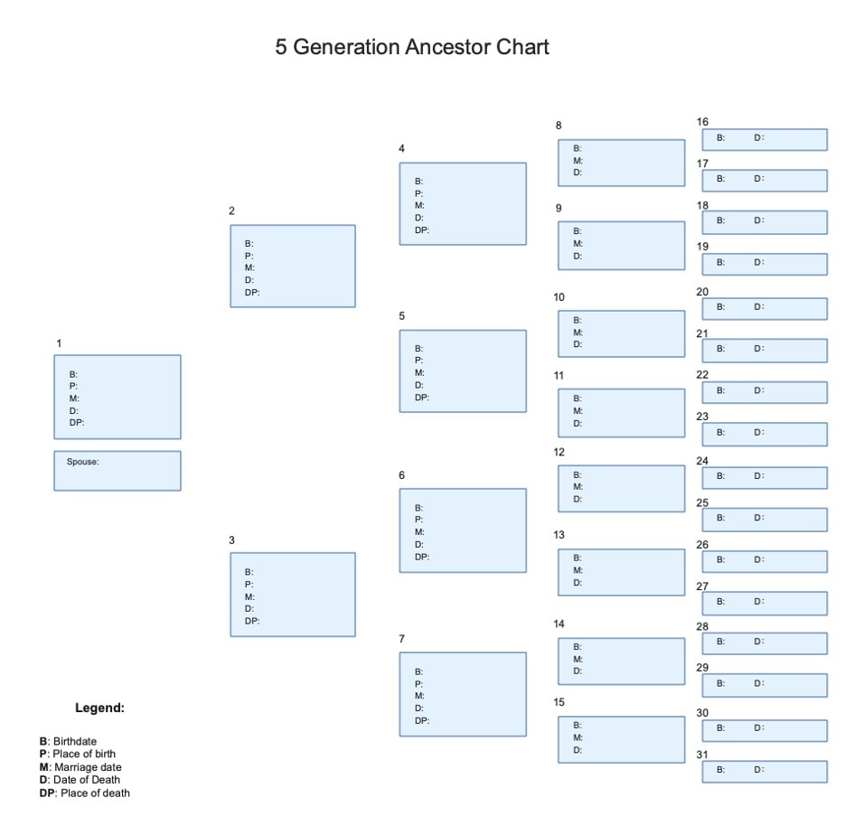 professional five generation family tree template