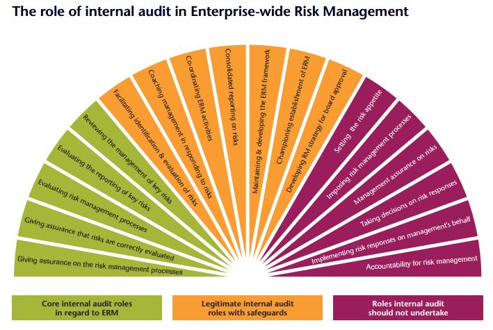 role of internal audit and risk management