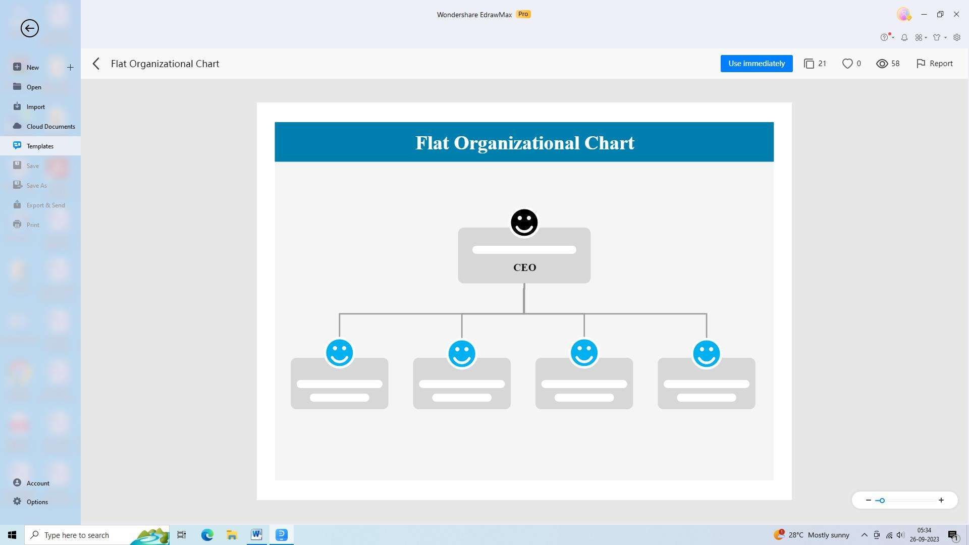 flat startup organizational structure example