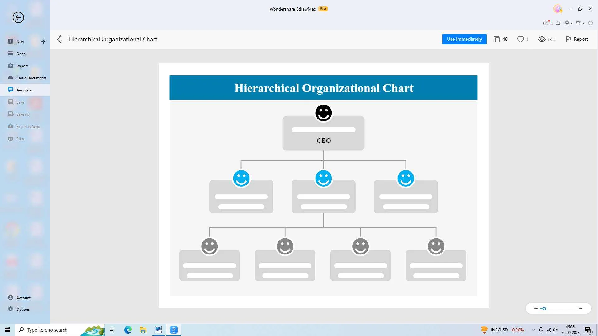 hierarchical startup organizational structure example