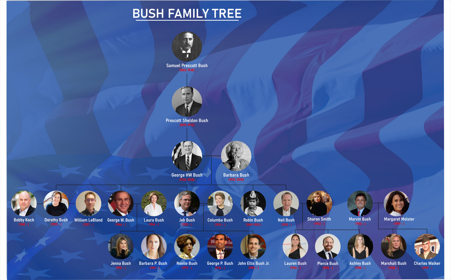 bush family tree