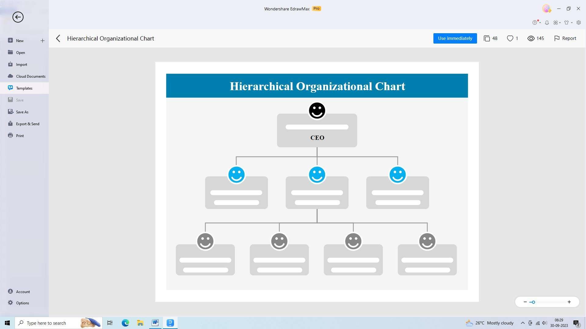 hierarchical org chart example