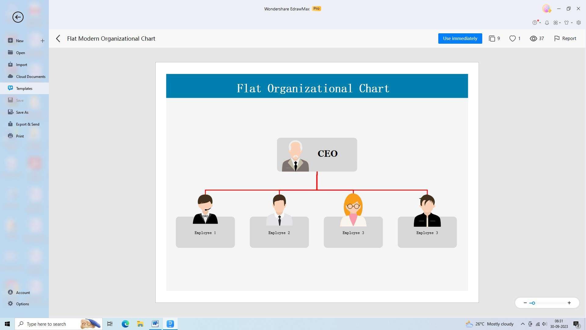 flat org chart example