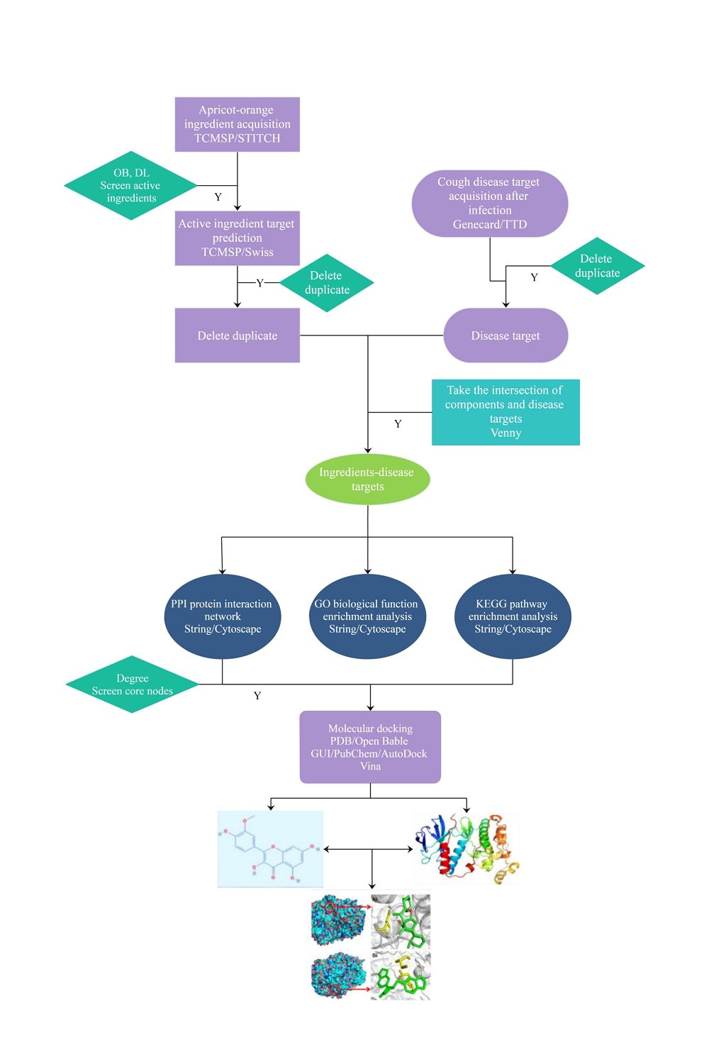 diagramma di flusso complesso di biologia