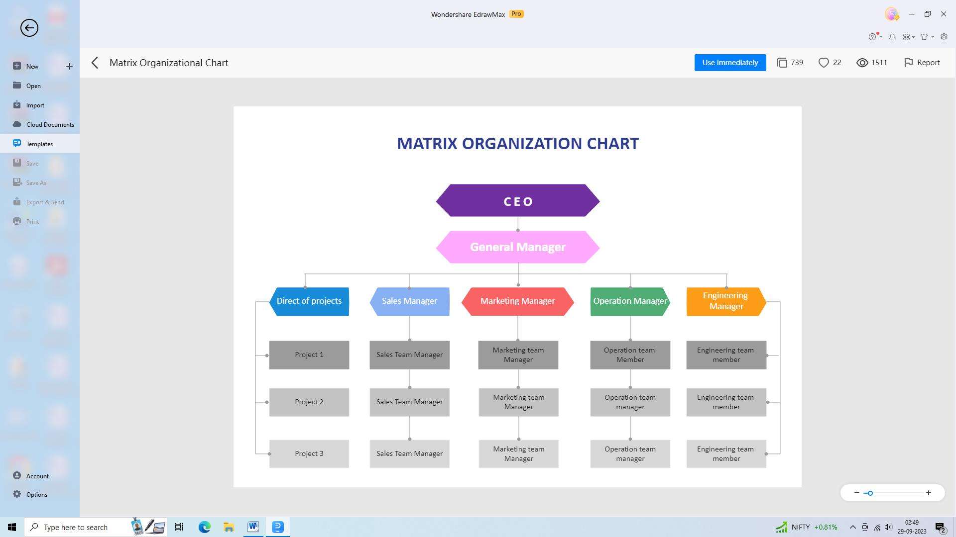 matrix organizational chart example