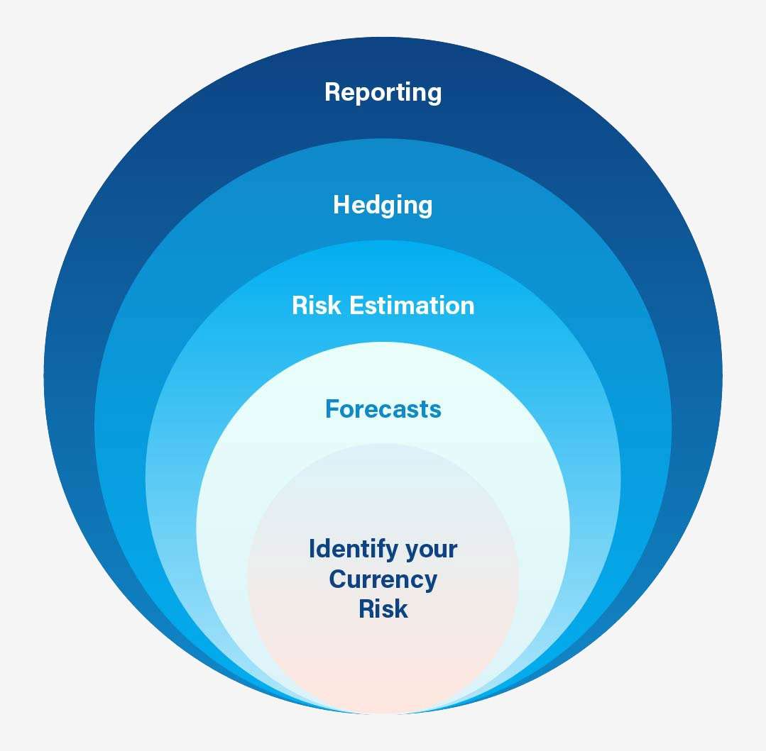 currency risk management framework