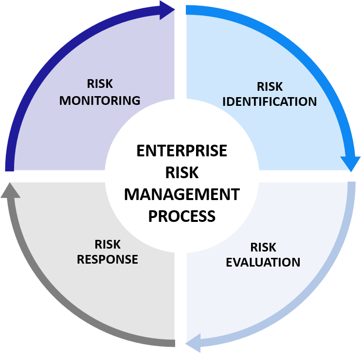 enterprise risk management process framework
