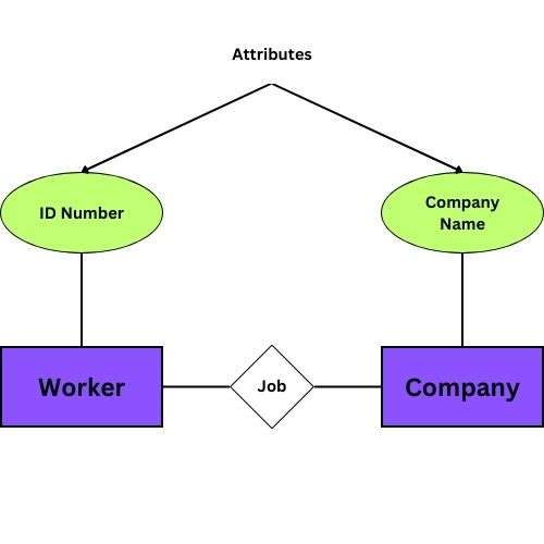 how to represent attributes in the ER diagram