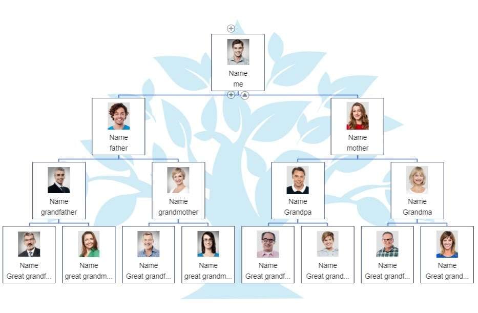edrawmax family tree with images