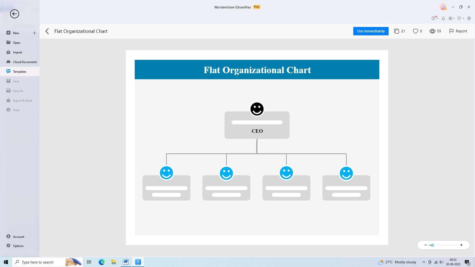 flat organizational chart example