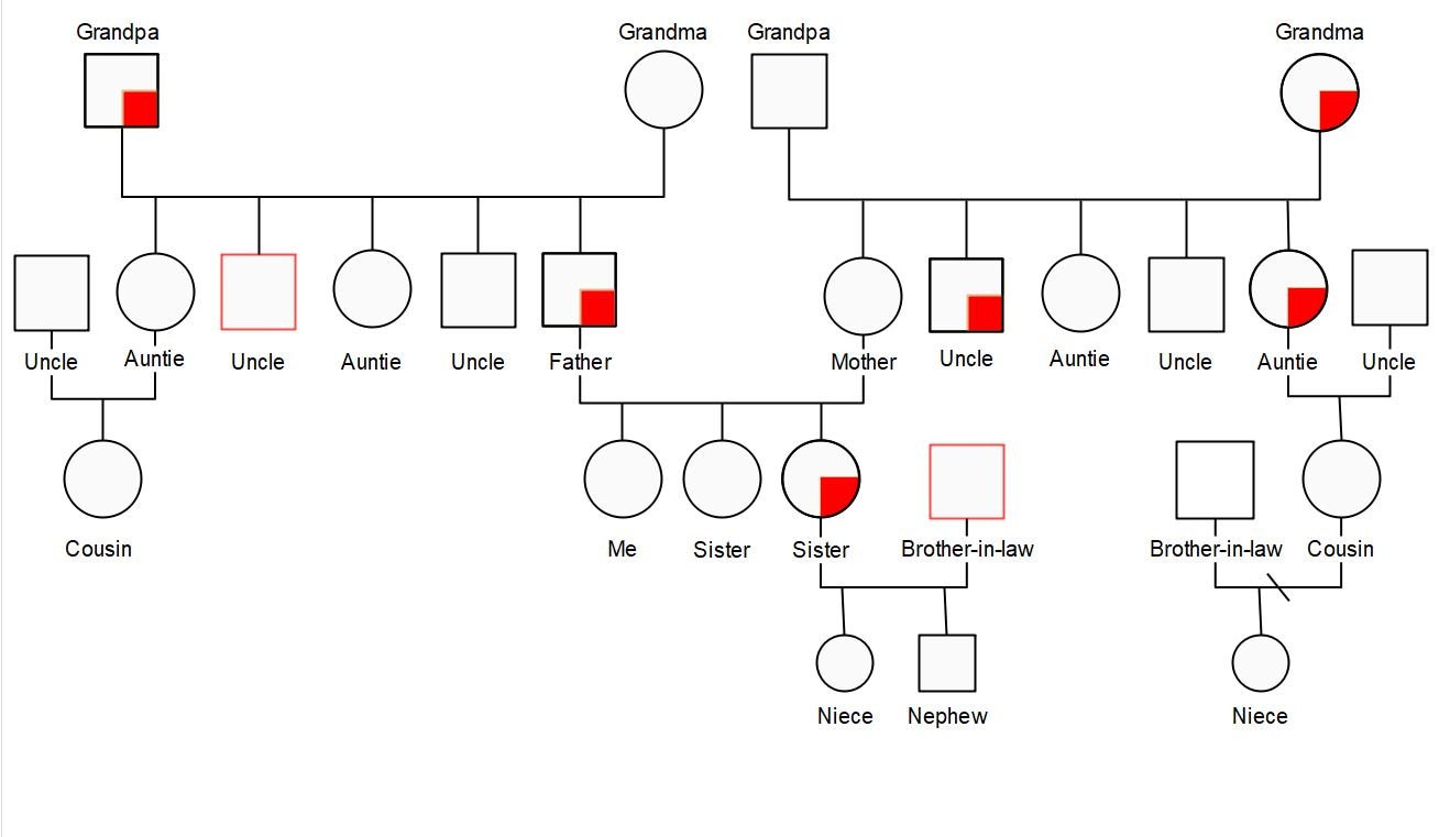 create-family-genogram