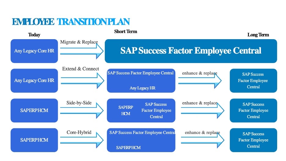 plan de transición para empleados