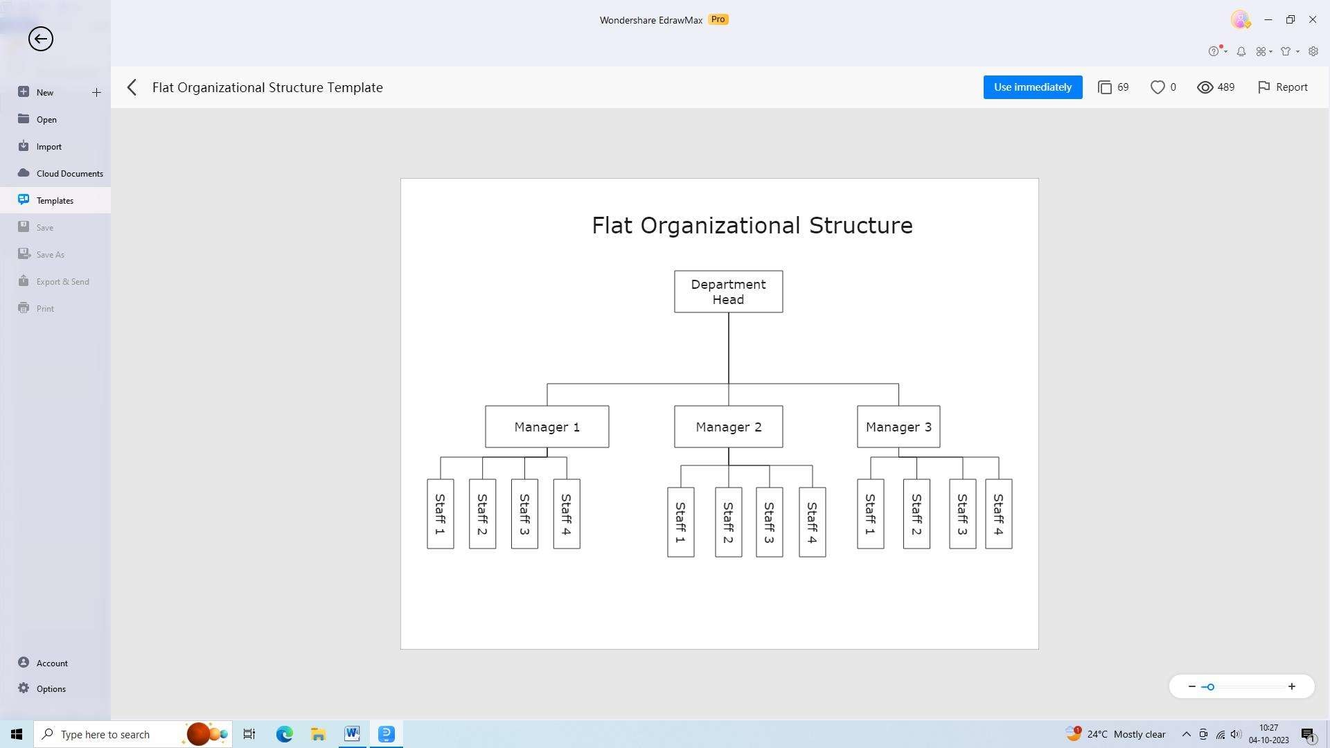 example of flat organizational structure