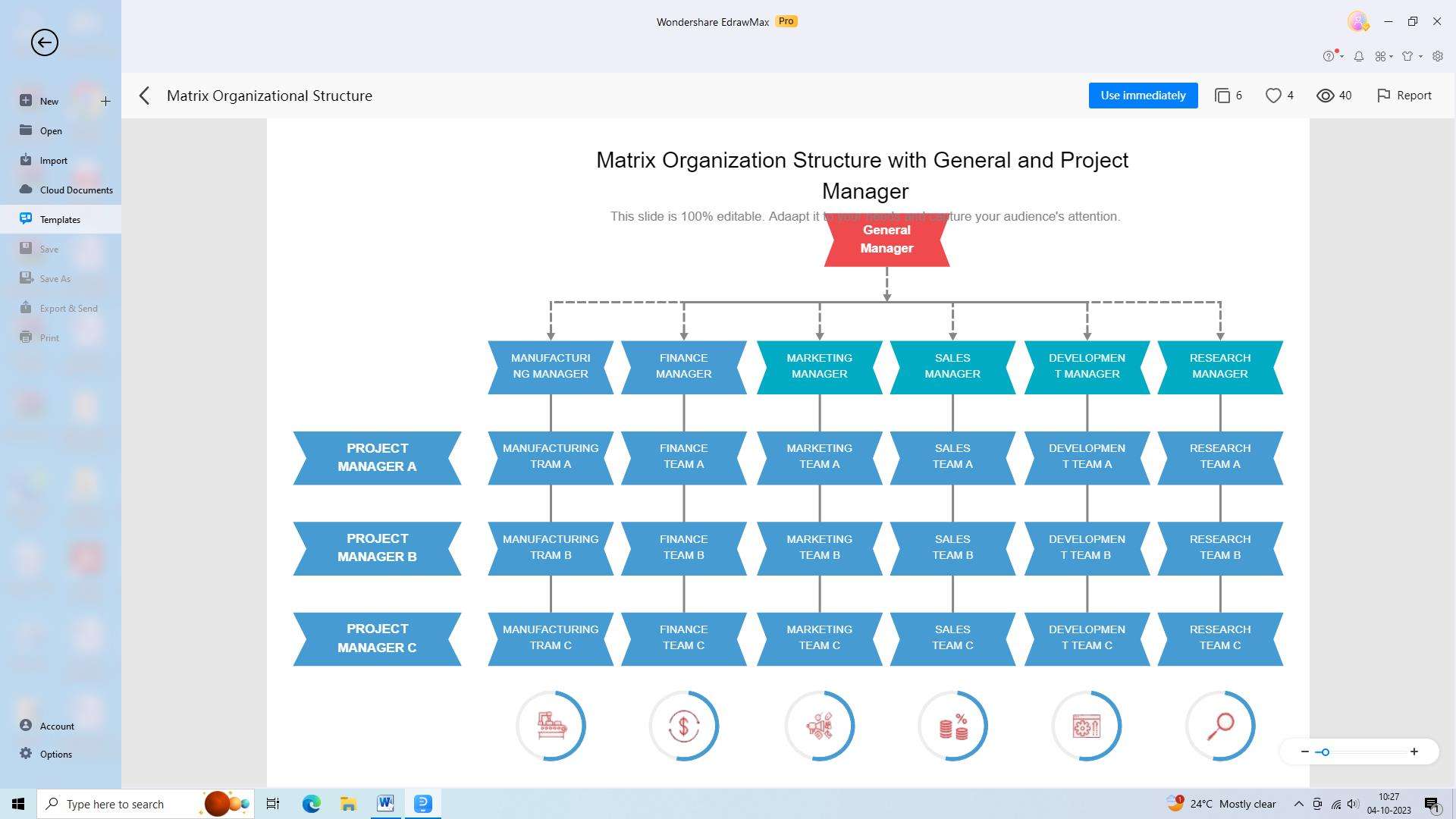 example of matrix organizational structure