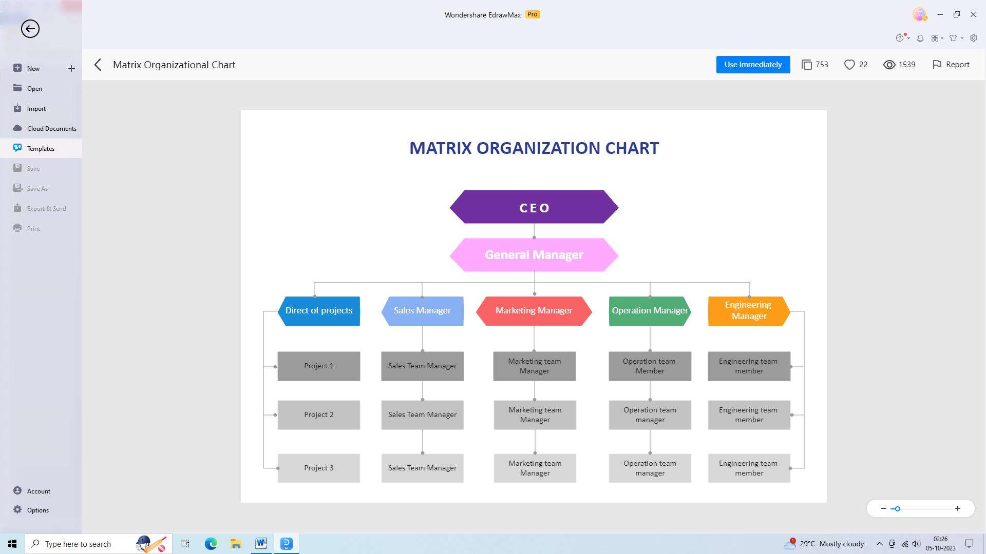 matrix organizational structure example