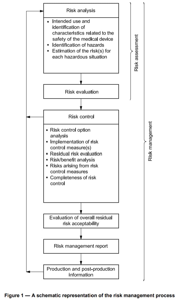 example of the risk management process