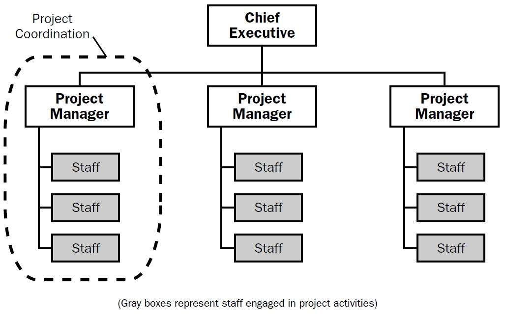 example of project based organizational structure