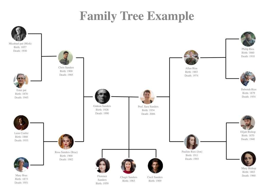 Modelo de árvore genealógica no EdrawMax