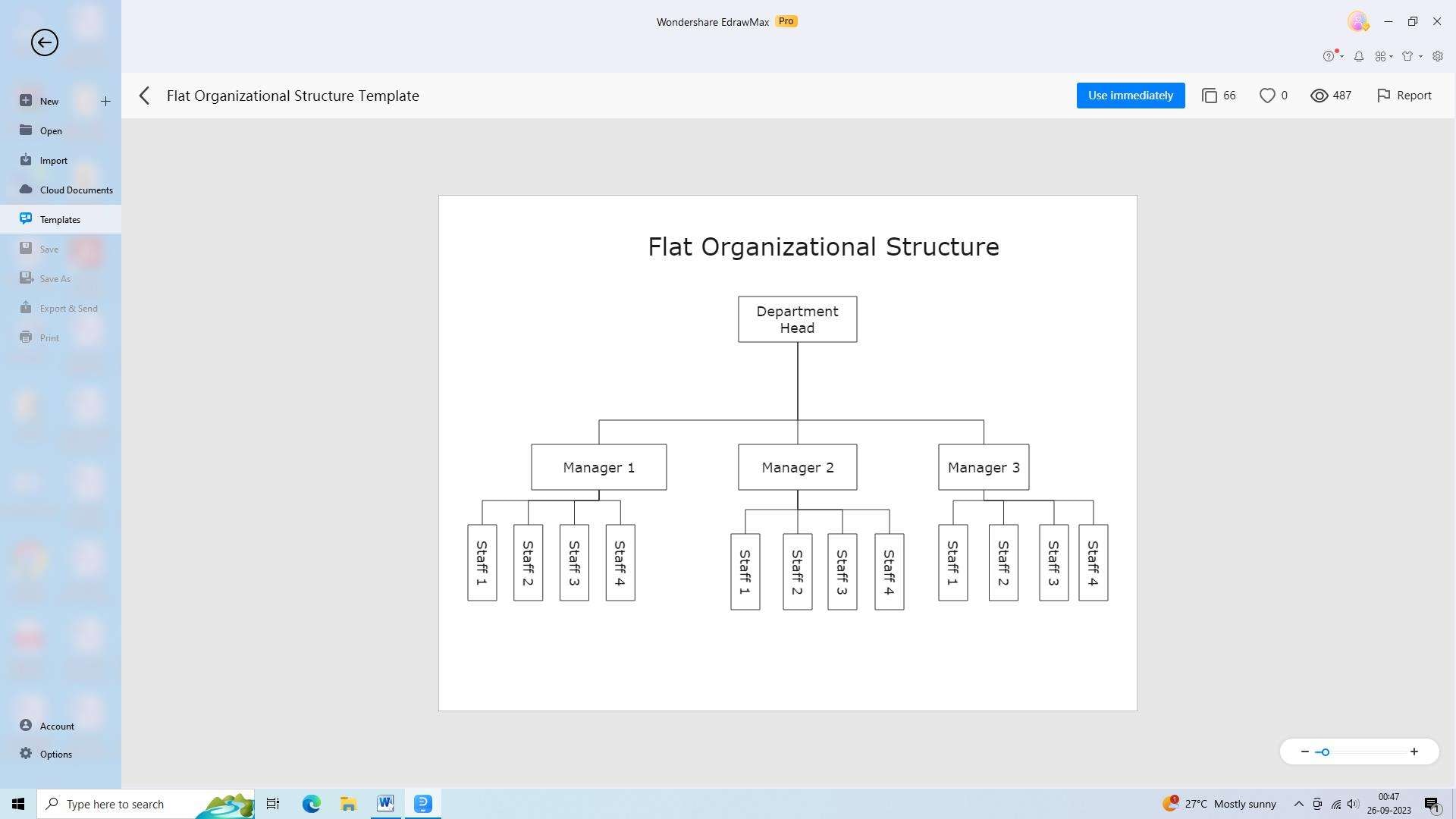 flat organizational structure example