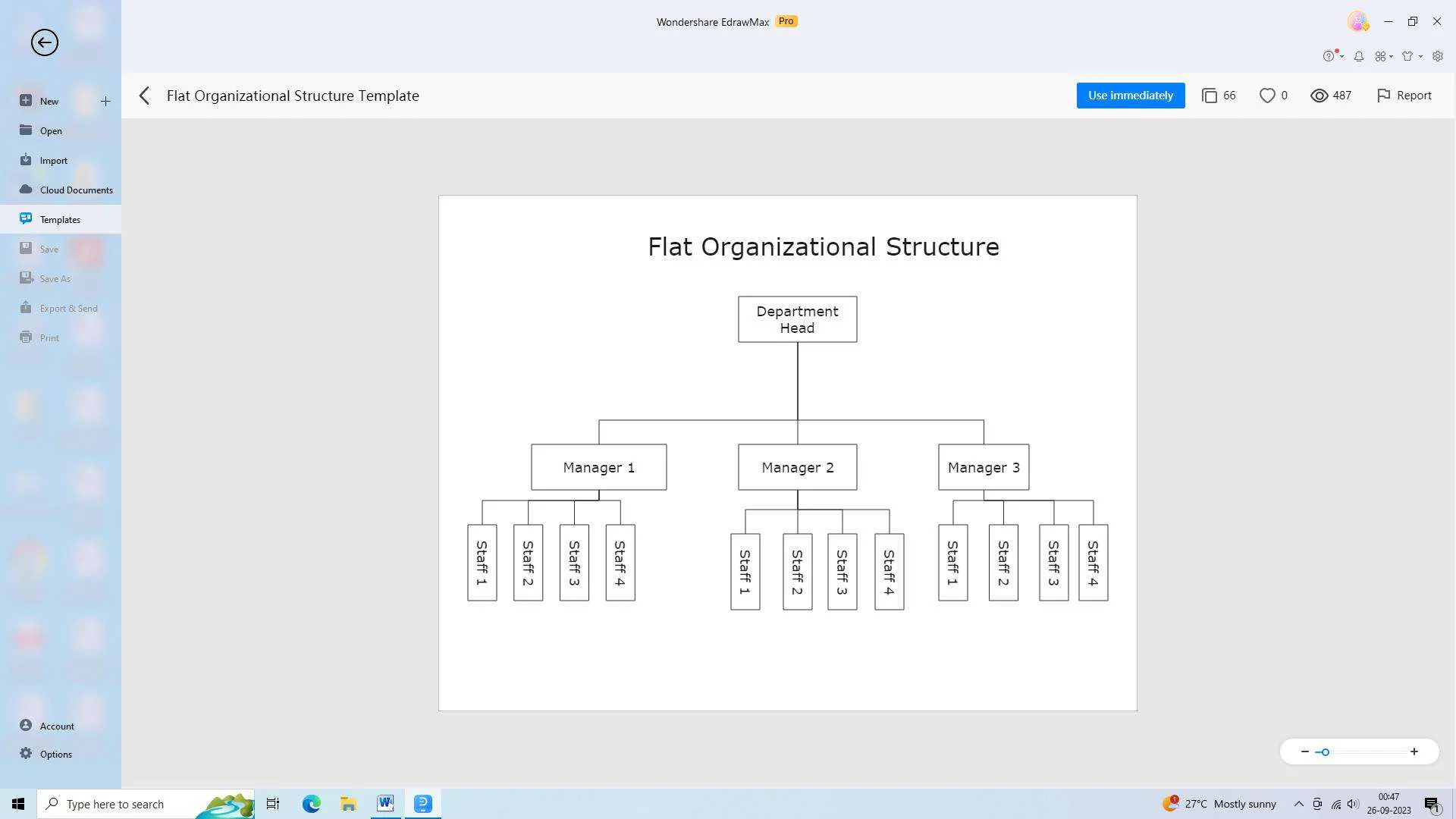 flat organizational structure example