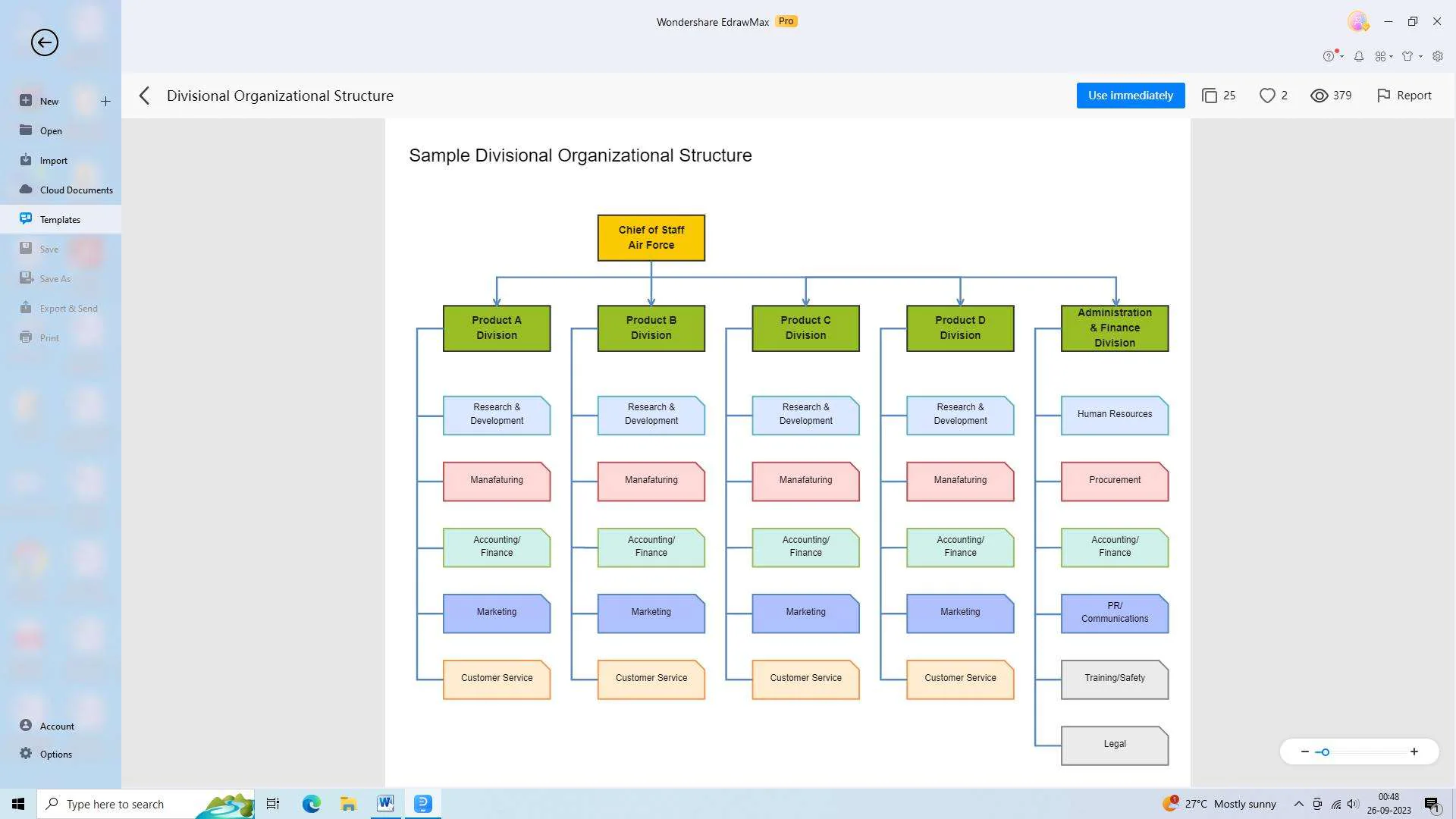 divisional organizational structure example