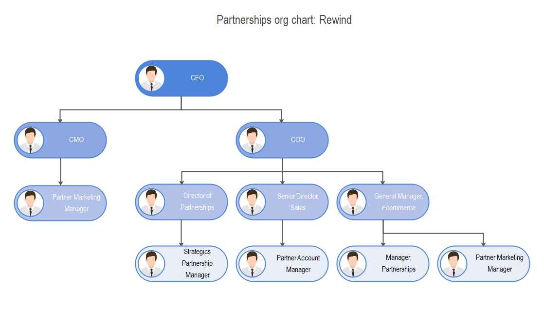 example of org chart for partnership business