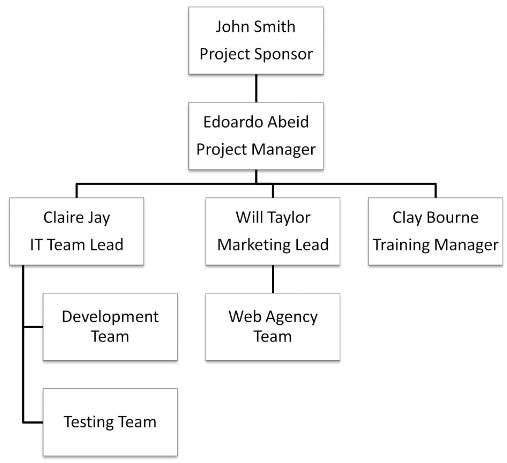 example of project management org chart