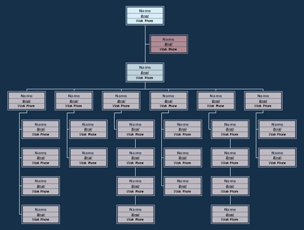large retail store org chart