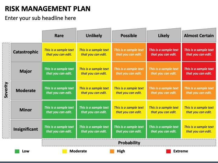 risk management plan example