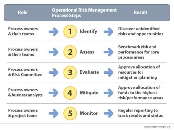 rims risk maturity model template
