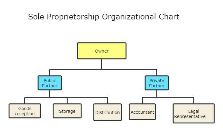 example of sole proprietorship organizational chart