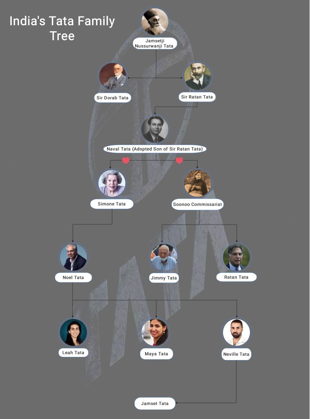 India’s Tata Group Family Tree: A Complete Guide