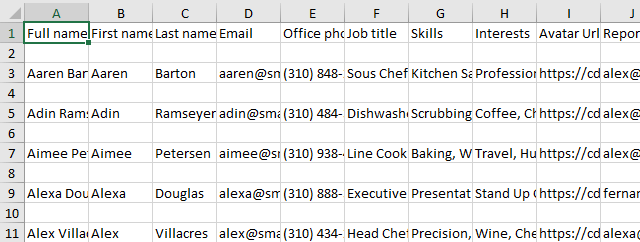 excel spreadsheet for data