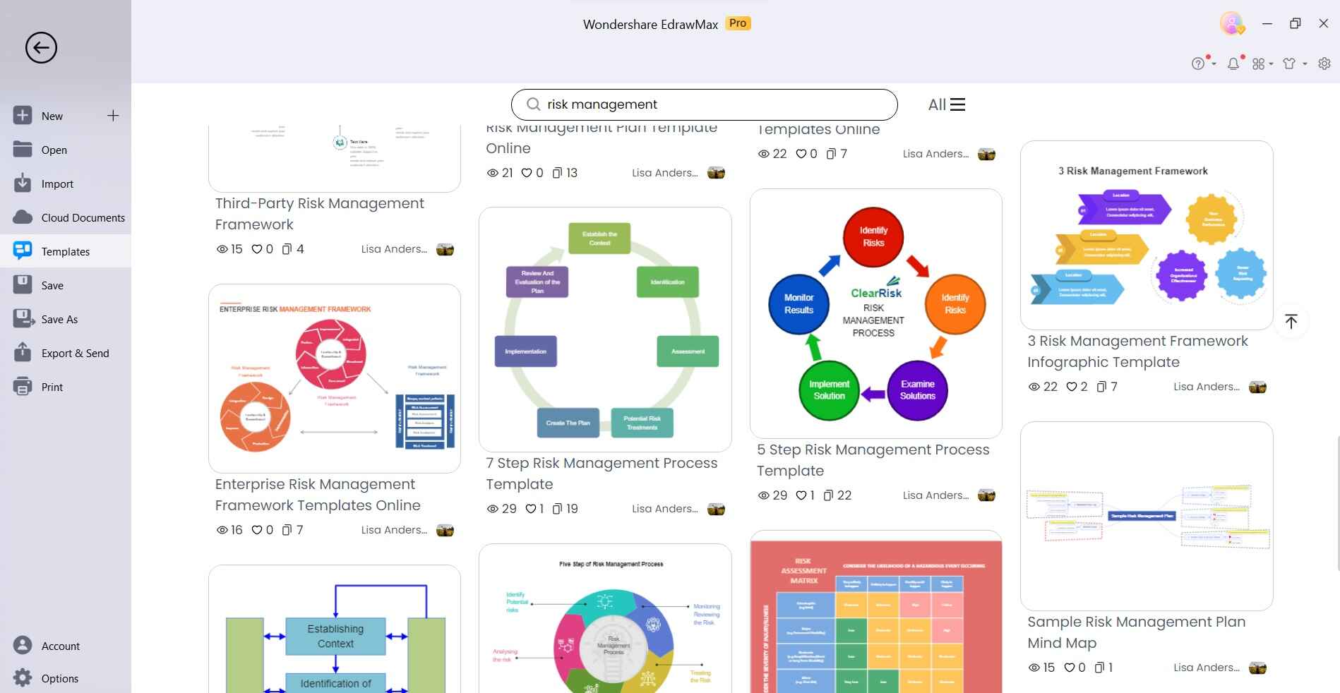 risk management templates