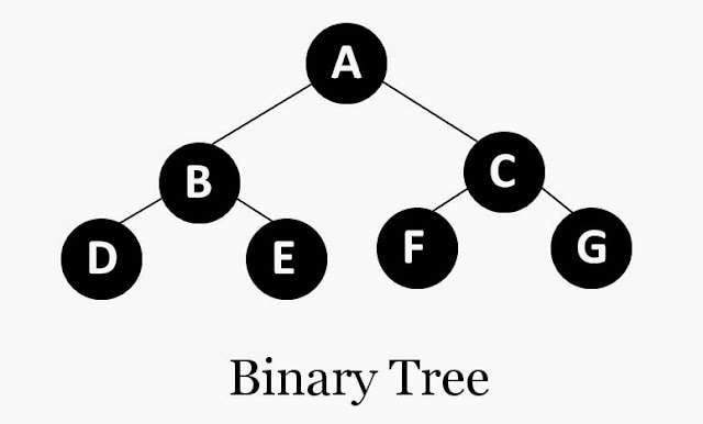 binary tree program