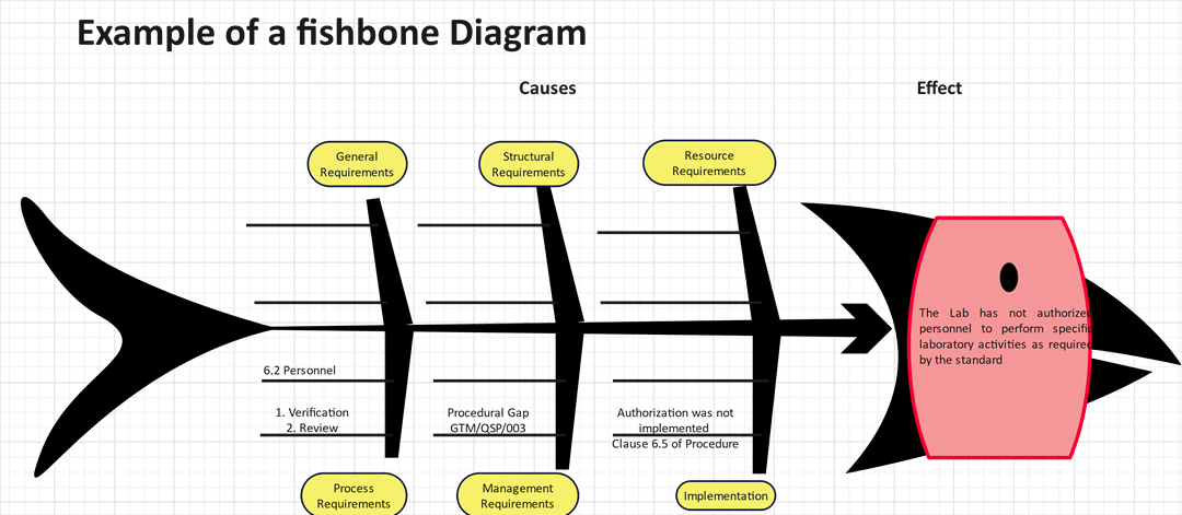 Fishbone Diagram for Lab Personnel Management