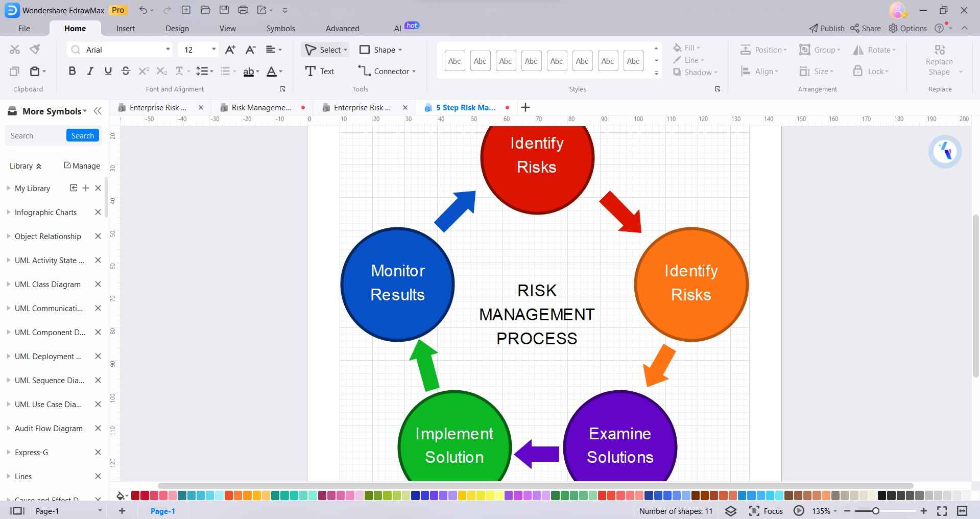 risk management process