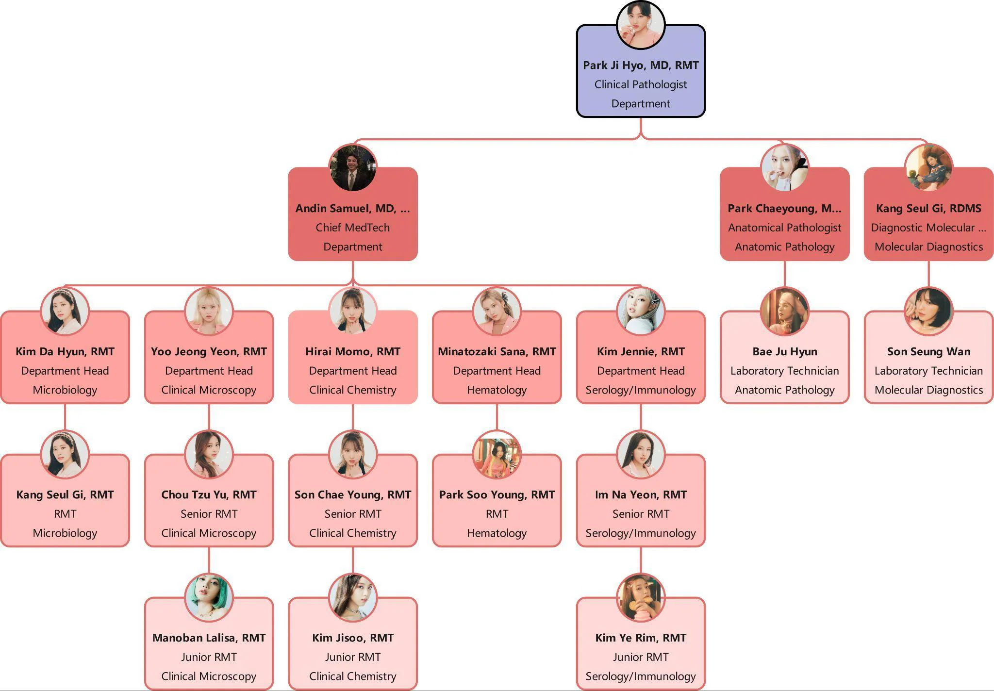 health organizational chart