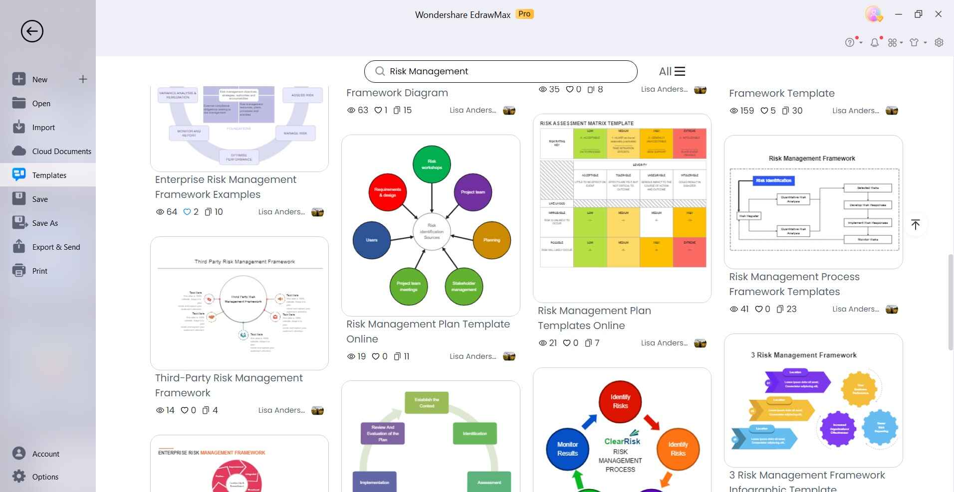 risk management templates