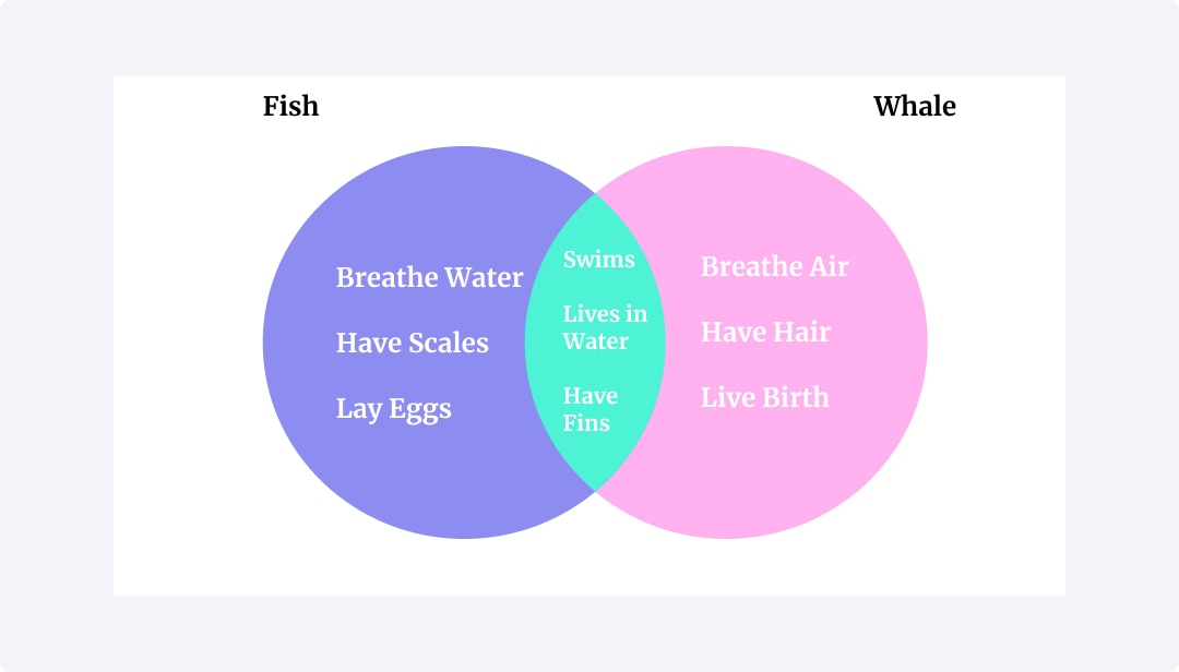 venn diargam