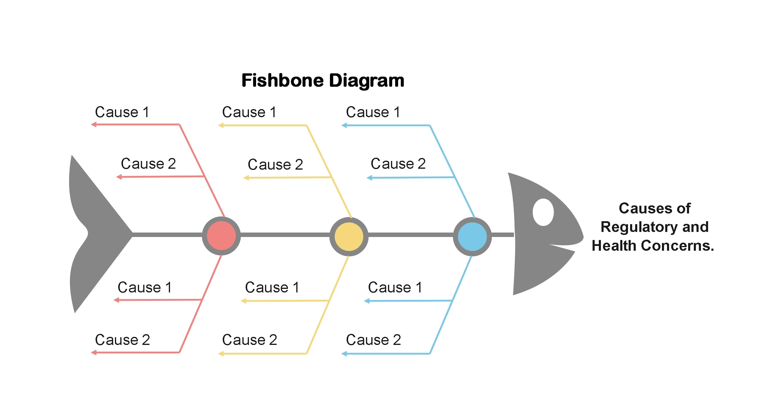 Fishbone Diagram Sample