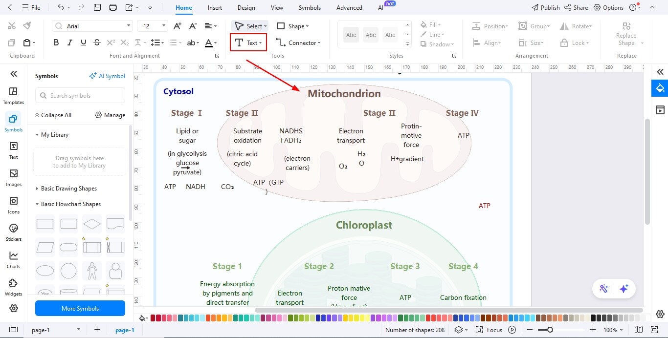 Diagram in EdrawMax-Writing all the text needed for your diagram