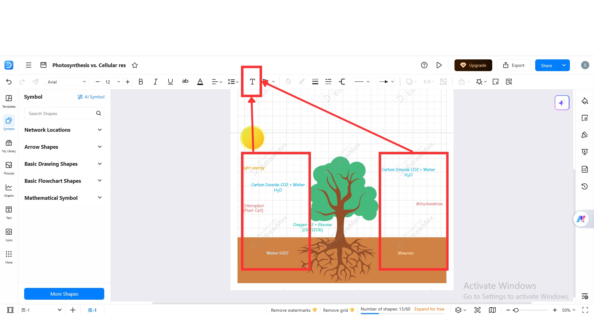 Diagram-Labeling-Organelles