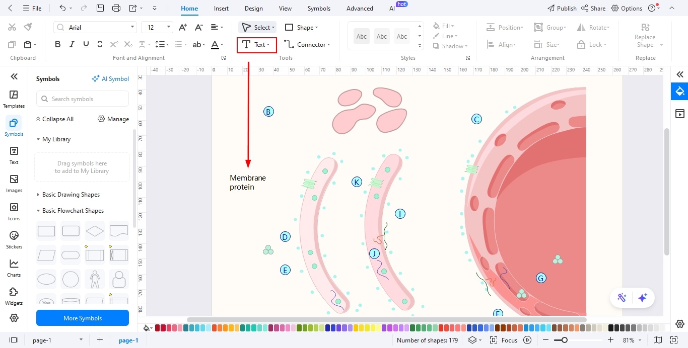 EdrawMax-Adding text for each image added
