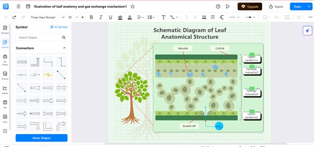 step of making a biology diagram on edrawmax