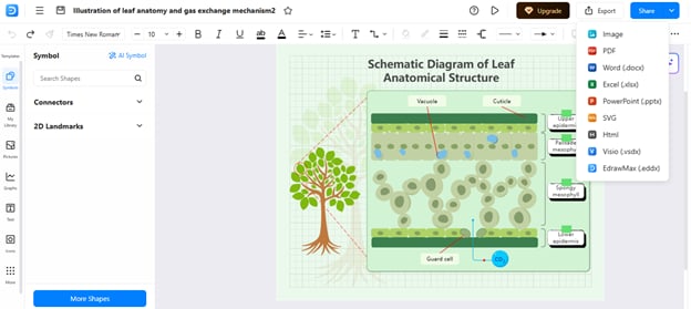 step of making a biology diagram on edrawmax