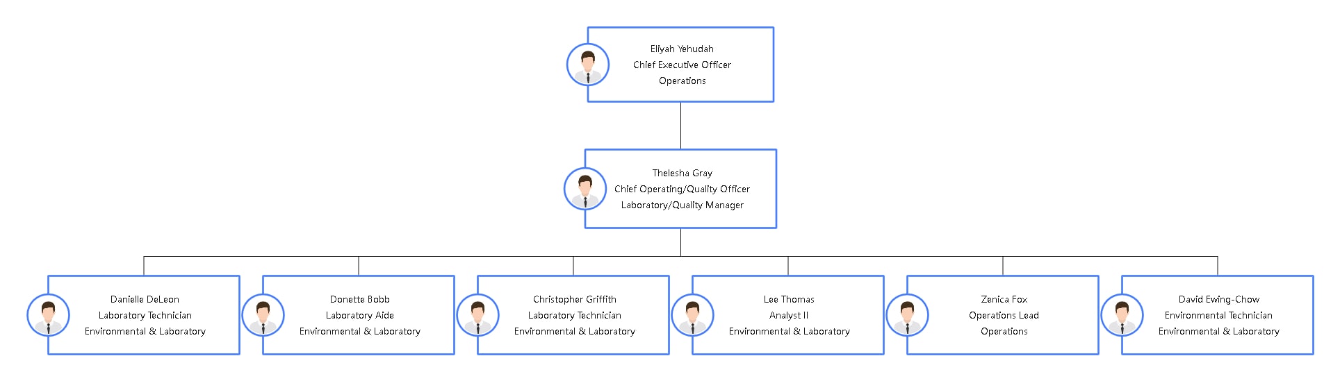 lab and environmental org chart