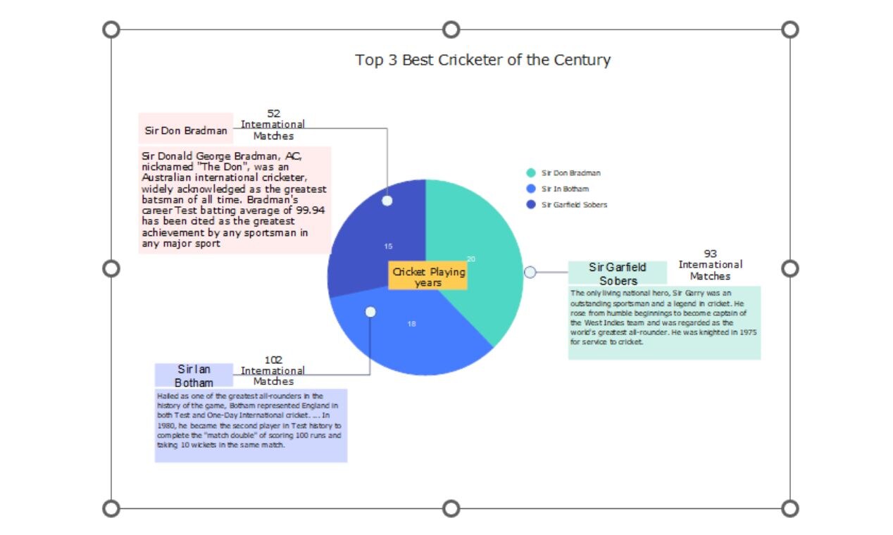resize and relocate the pie chart template